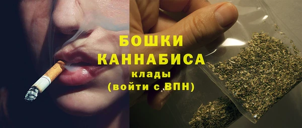 PSILOCYBIN Новодвинск
