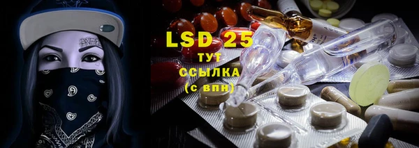 PSILOCYBIN Новодвинск