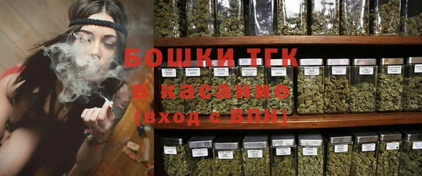 PSILOCYBIN Новодвинск
